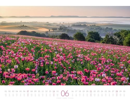 Germany Calendar 2026: Enchanting Landscapes in Landscape Format (54x42cm)