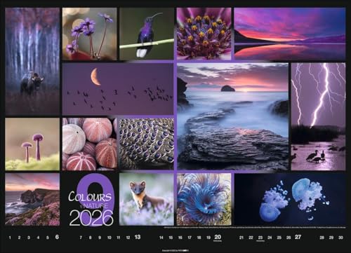 Kalender 'Colours of Nature' 2026: Großer Foto-Wandkalender im Querformat (68x49cm)