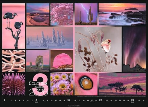 Kalender 'Colours of Nature' 2026: Großer Foto-Wandkalender im Querformat (68x49cm)