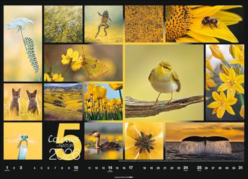 Kalender 'Colours of Nature' 2026: Großer Foto-Wandkalender im Querformat (68x49cm)