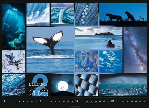 Kalender 'Colours of Nature' 2026: Großer Foto-Wandkalender im Querformat (68x49cm)