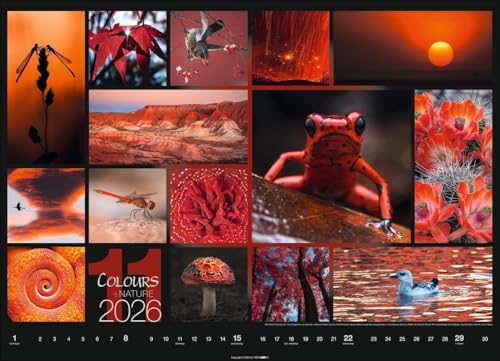 Kalender 'Colours of Nature' 2026: Großer Foto-Wandkalender im Querformat (68x49cm)