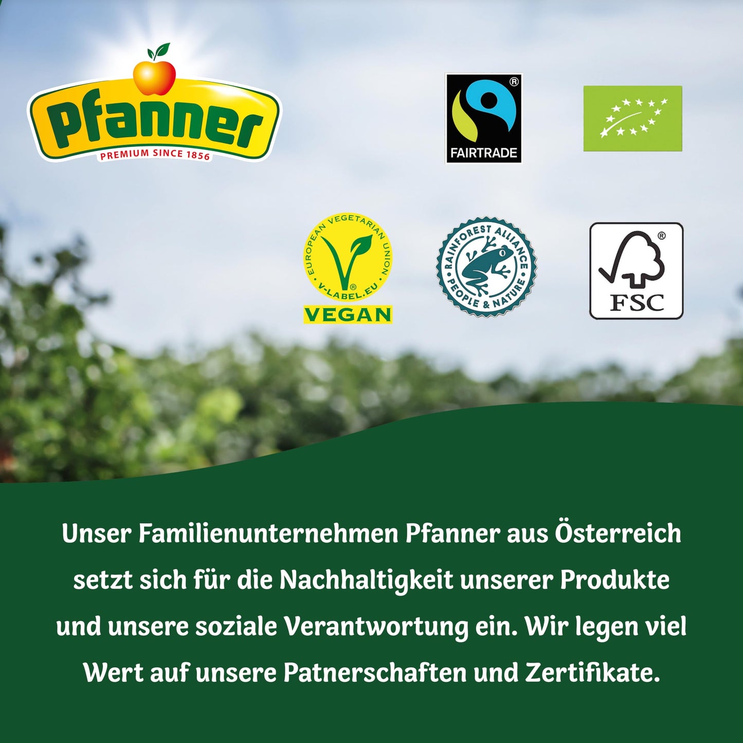 Pfanner 100% vitamin-rich apple juice (8 x 1 liter): no added sugar
