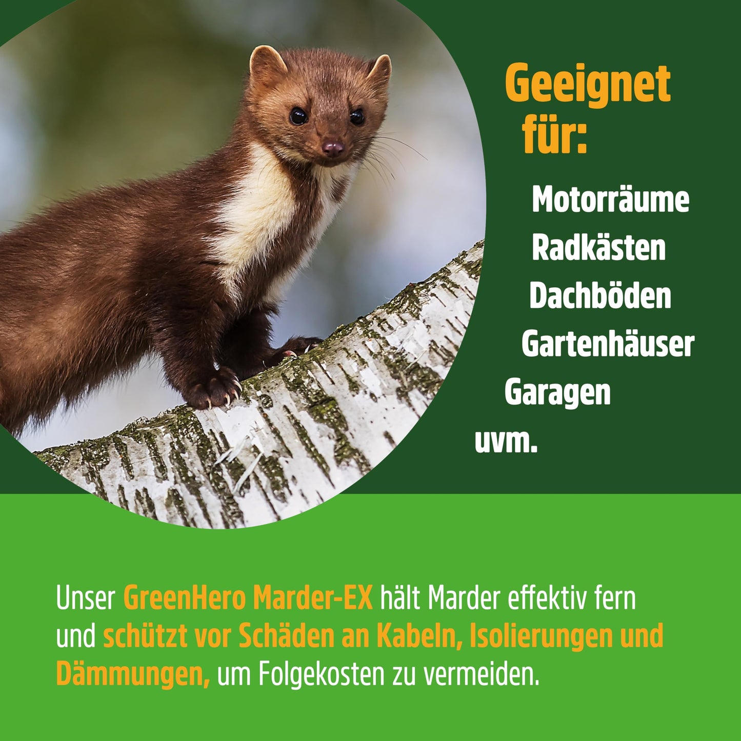GREEN HERO Marten-EX (500ml): Marten repellent, marten deterrent car spray