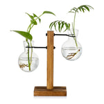 Transparent Bulb Vase with Wooden Stand | Stylish Hydroponic Decor