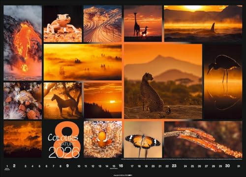 Kalender 'Colours of Nature' 2026: Großer Foto-Wandkalender im Querformat (68x49cm)