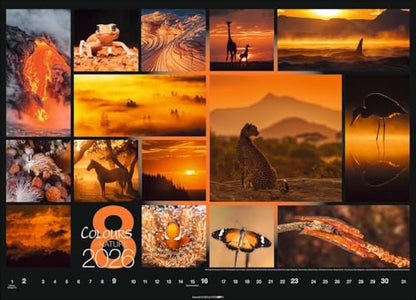 Kalender 'Colours of Nature' 2026: Großer Foto-Wandkalender im Querformat (68x49cm)