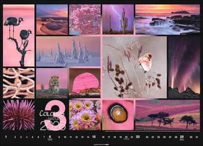 Kalender 'Colours of Nature' 2026: Großer Foto-Wandkalender im Querformat (68x49cm)