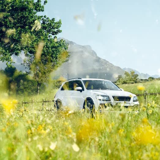 Bosch Automotive (R2597) Premium Innenraumfilter mit Aktivkohle