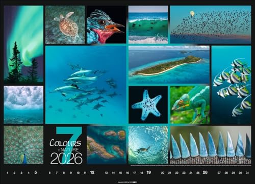 Kalender 'Colours of Nature' 2026: Großer Foto-Wandkalender im Querformat (68x49cm)