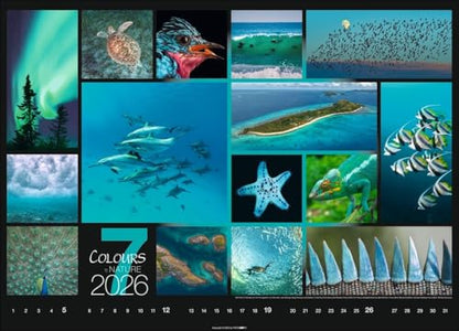 Kalender 'Colours of Nature' 2026: Großer Foto-Wandkalender im Querformat (68x49cm)