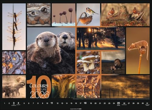 Kalender 'Colours of Nature' 2026: Großer Foto-Wandkalender im Querformat (68x49cm)