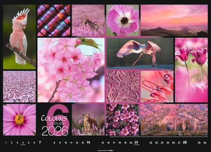 Kalender 'Colours of Nature' 2026: Großer Foto-Wandkalender im Querformat (68x49cm)