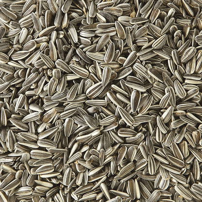 Dehner Natura Premium-Ganzjahres-Wildvogelfutter: Sonnenblumenkerne (5kg)